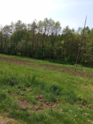 	Táborové školení na sezónu 2025