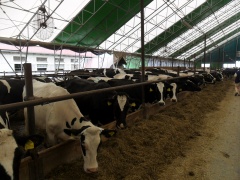 Přespání oddílů